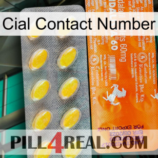 Cial Contact Number new05